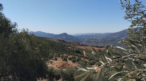 Se vende impresionante terreno de 39 ha, imatge 4