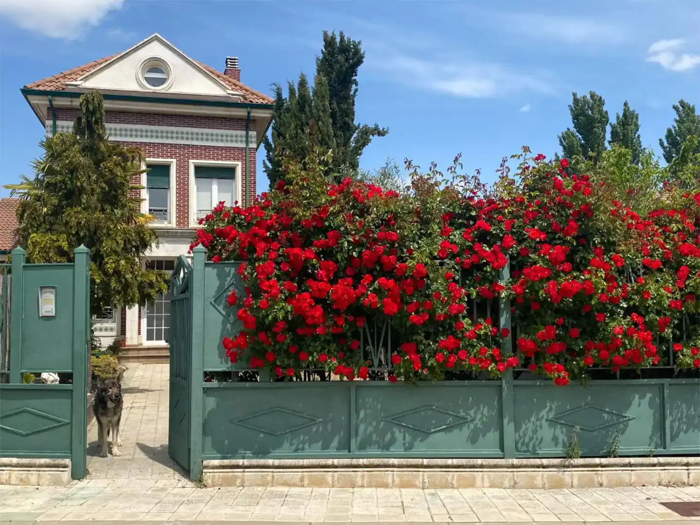 Jardí de Pis en venda en Grijota amb Jardí privat, Parquet i Piscina