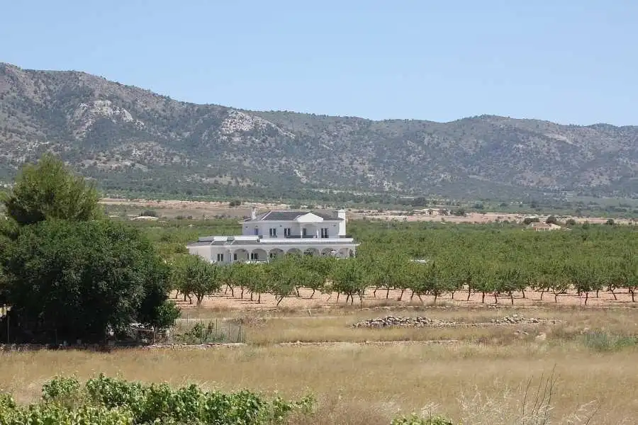 Haus mit Pool zum Verkauf in El Pinós / Pinoso, imagen 15
