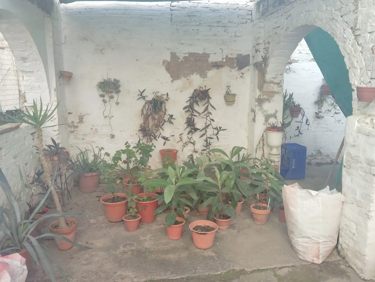 Casa con giardino in vendita a Brenes, imagen 20