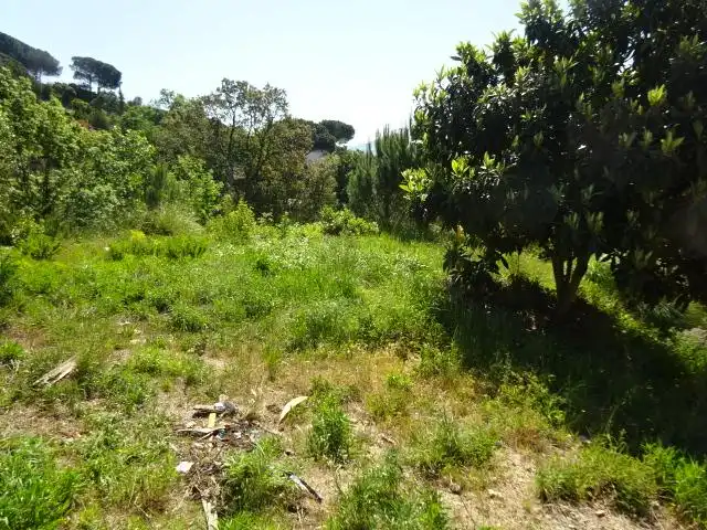 Wohnbaugrundstück zum Verkauf in Riells i Viabrea, imagen 2