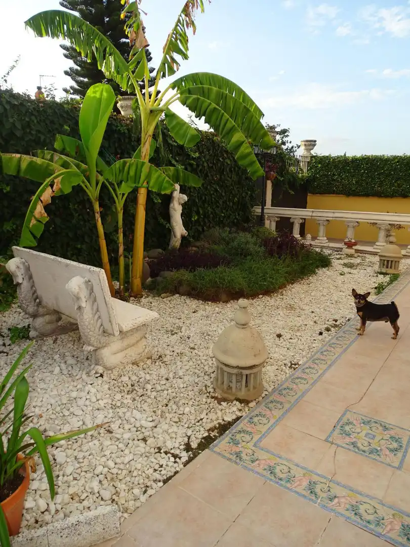 Villa con piscina in vendita a Jardines de triana, imagen 71
