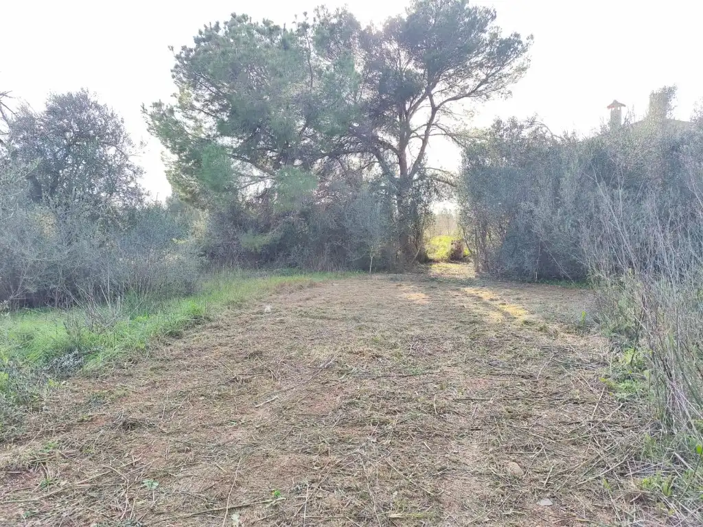 Country homes for sale in Poligono 2 Paraje 141 Sencelles, Zona Periurbana