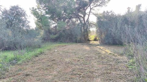 Photo 5 of Country homes for sale in Poligono 2 Paraje 141 Sencelles, Zona Periurbana, Inca