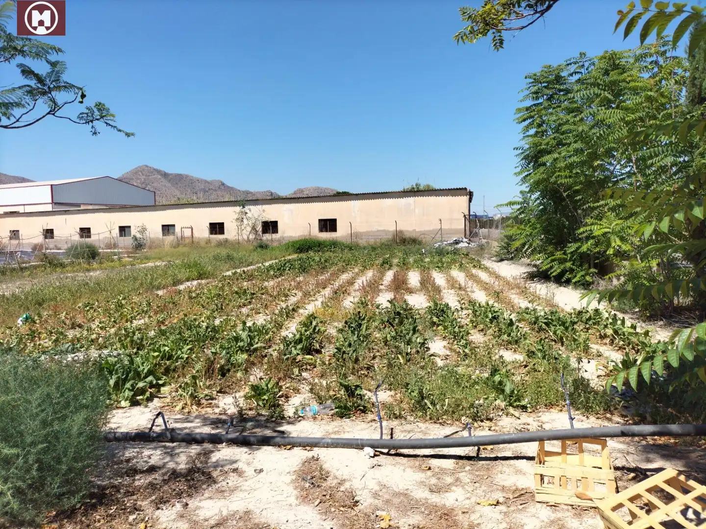 Maison rustique à vendre à Cox, imagen 19