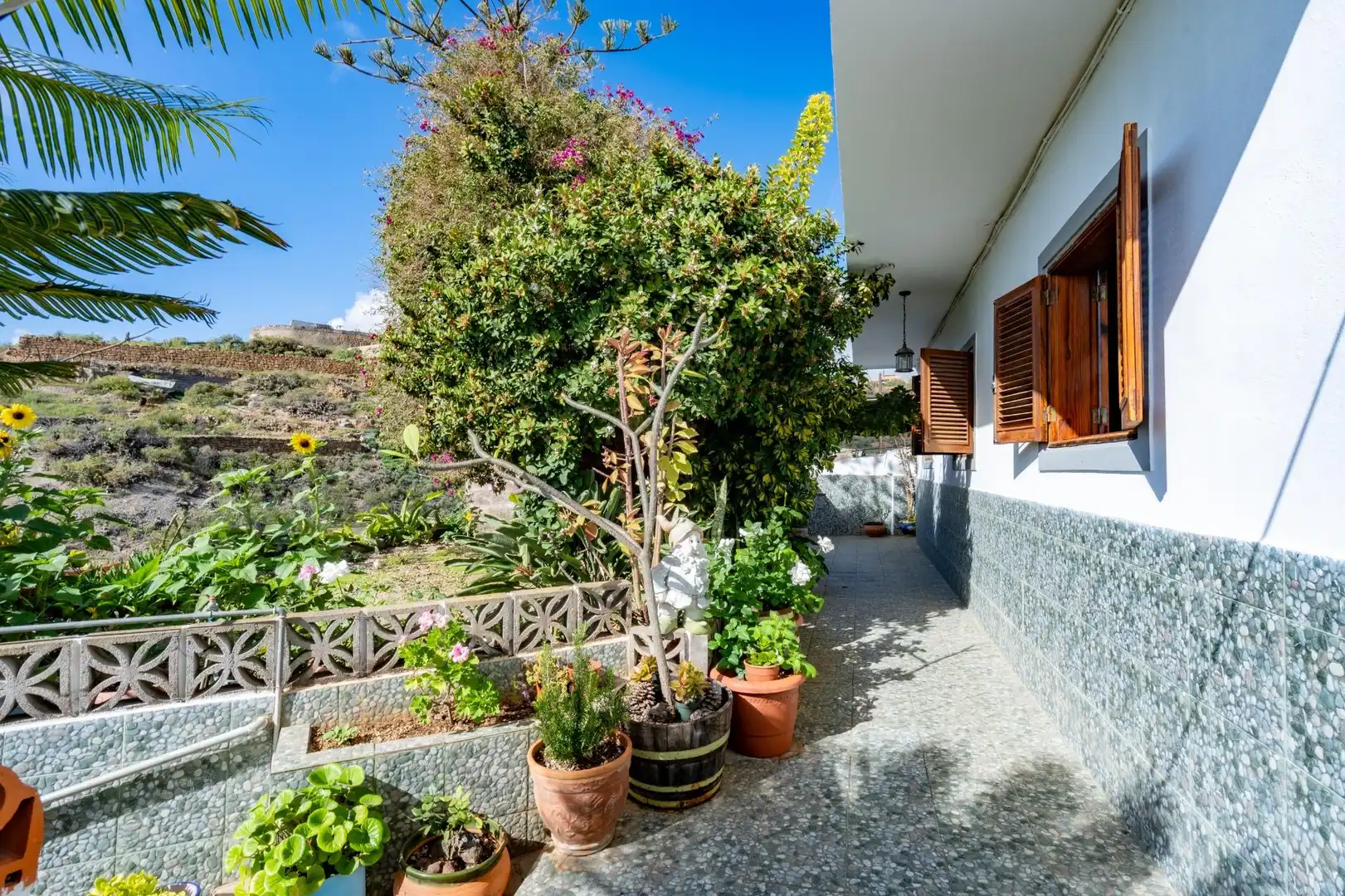 Vista exterior de Finca rústica en venta en Granadilla de Abona con Calefacción, Terraza y Amueblado