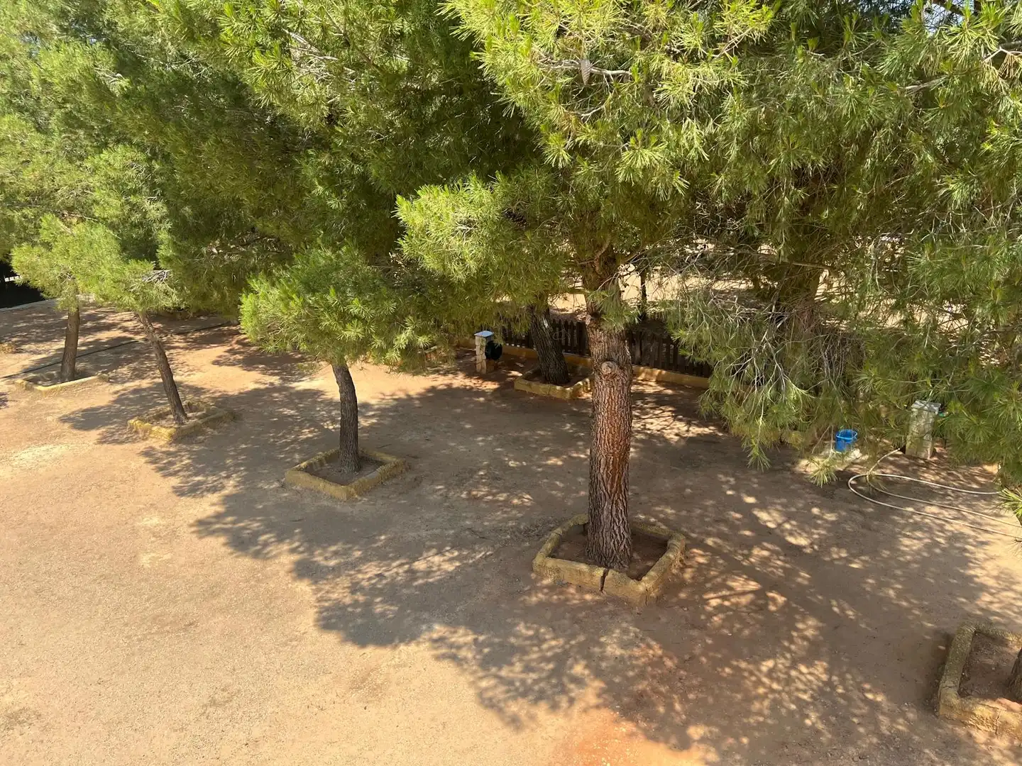 Jardín de Terreno en venta en Villarrobledo