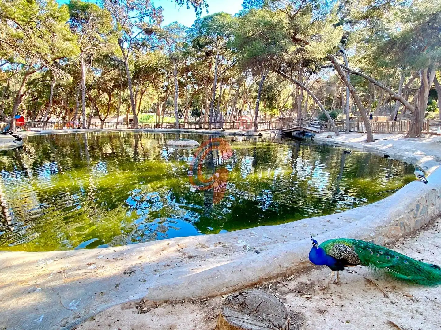 Piscina de Estudi en venda en Guardamar del Segura amb Aire condicionat, Calefacció i Terrassa