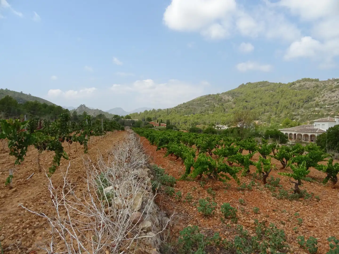 Terreny residencial en venda a Llíber