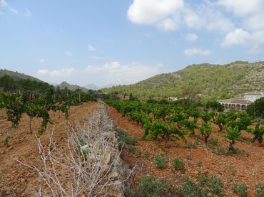 Terreny residencial en venda a Llíber