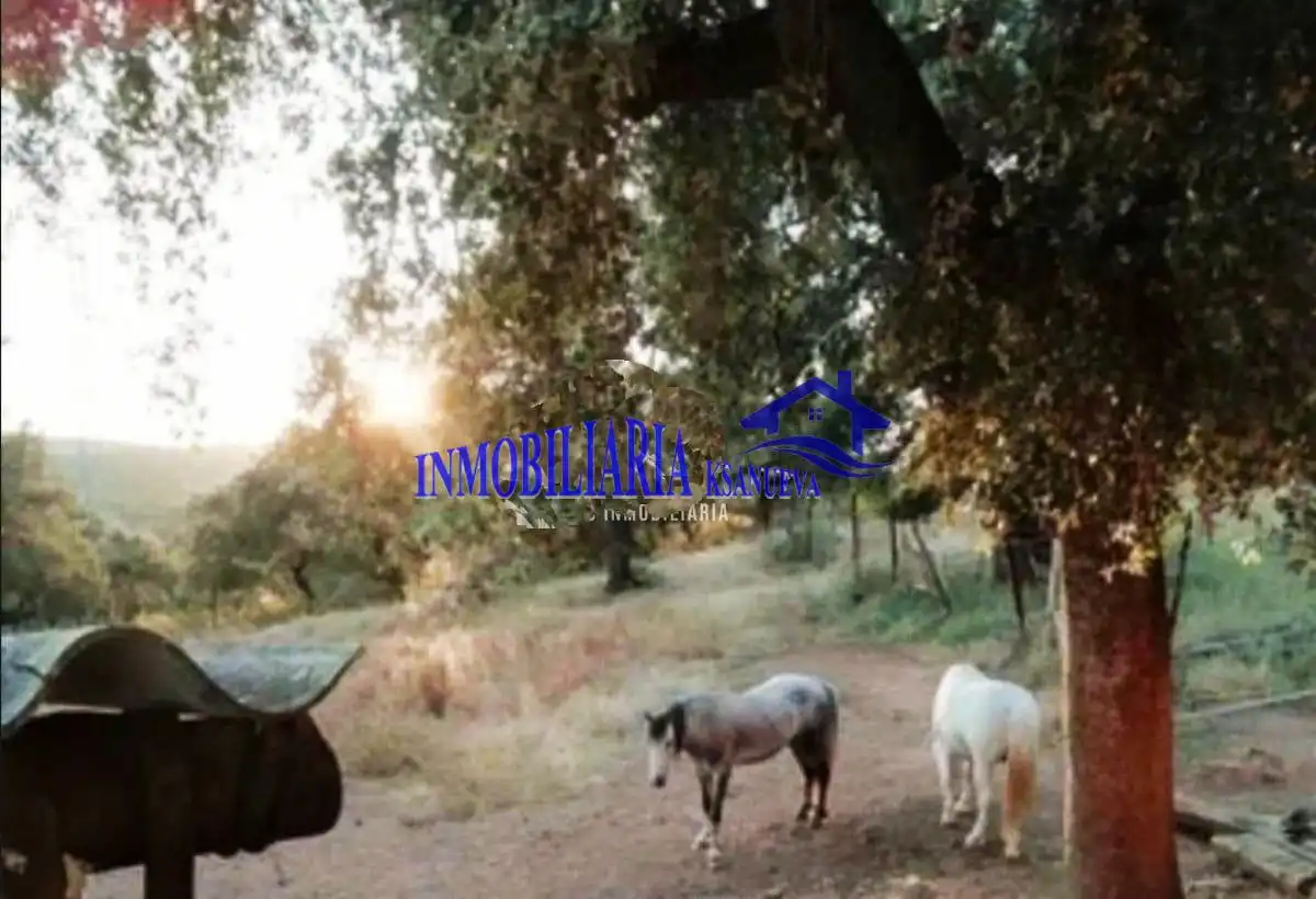 Finca rústica en venta en Cerro Muriano