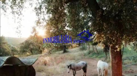 Foto 4 de Finca rústica en venda a Cerro Muriano, Córdoba