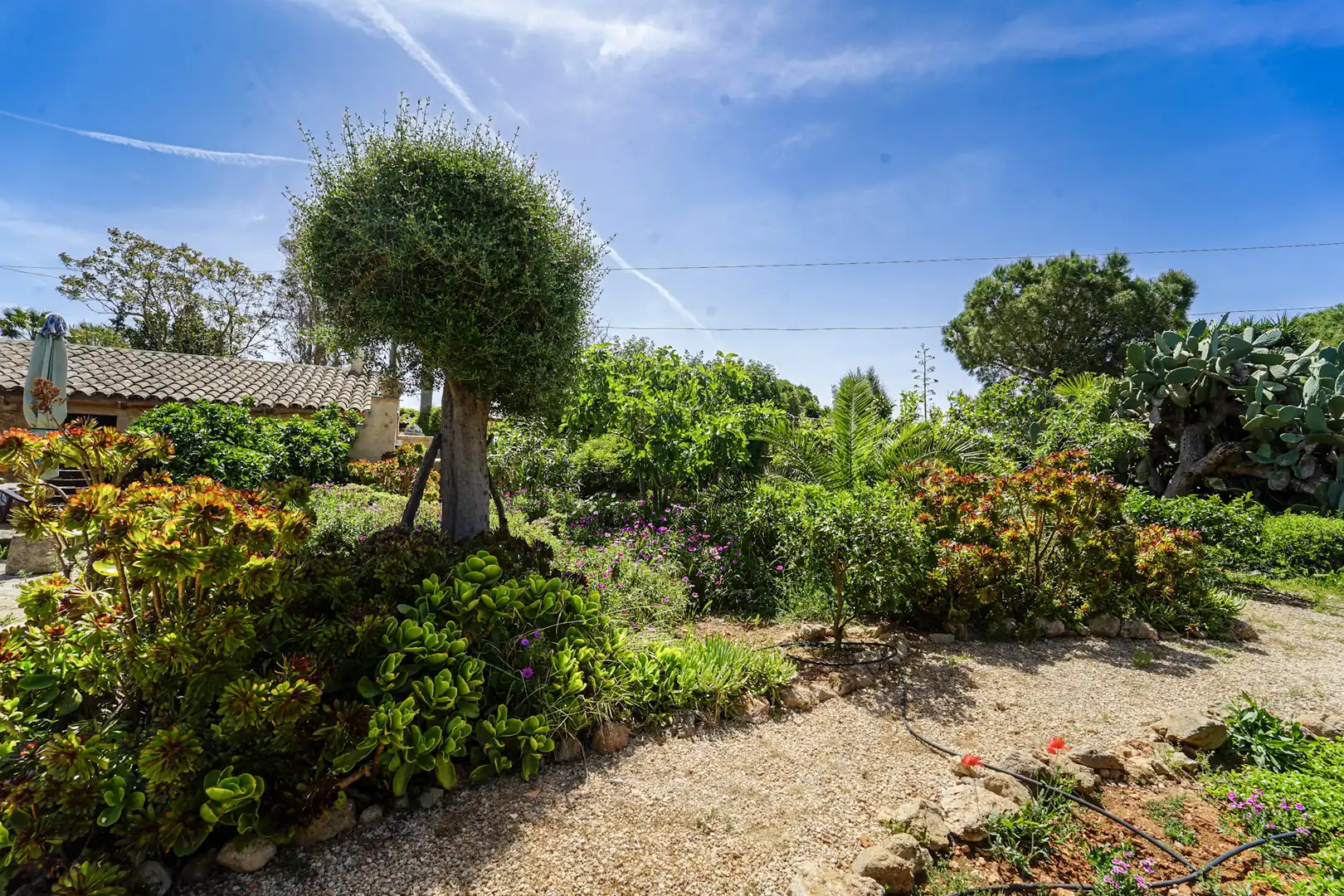 Garten von Country house zum Verkauf in Campos mit Klimaanlage, Heizung und Abstellraum