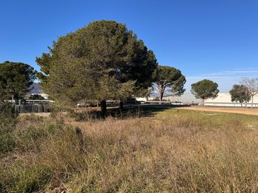 Terreno industrial en venta en Carrer de la Fanga