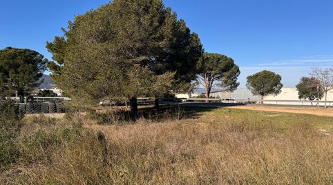 BAIX EMPORDÀ, PALAFRUGELL, PARCELA URBANA.