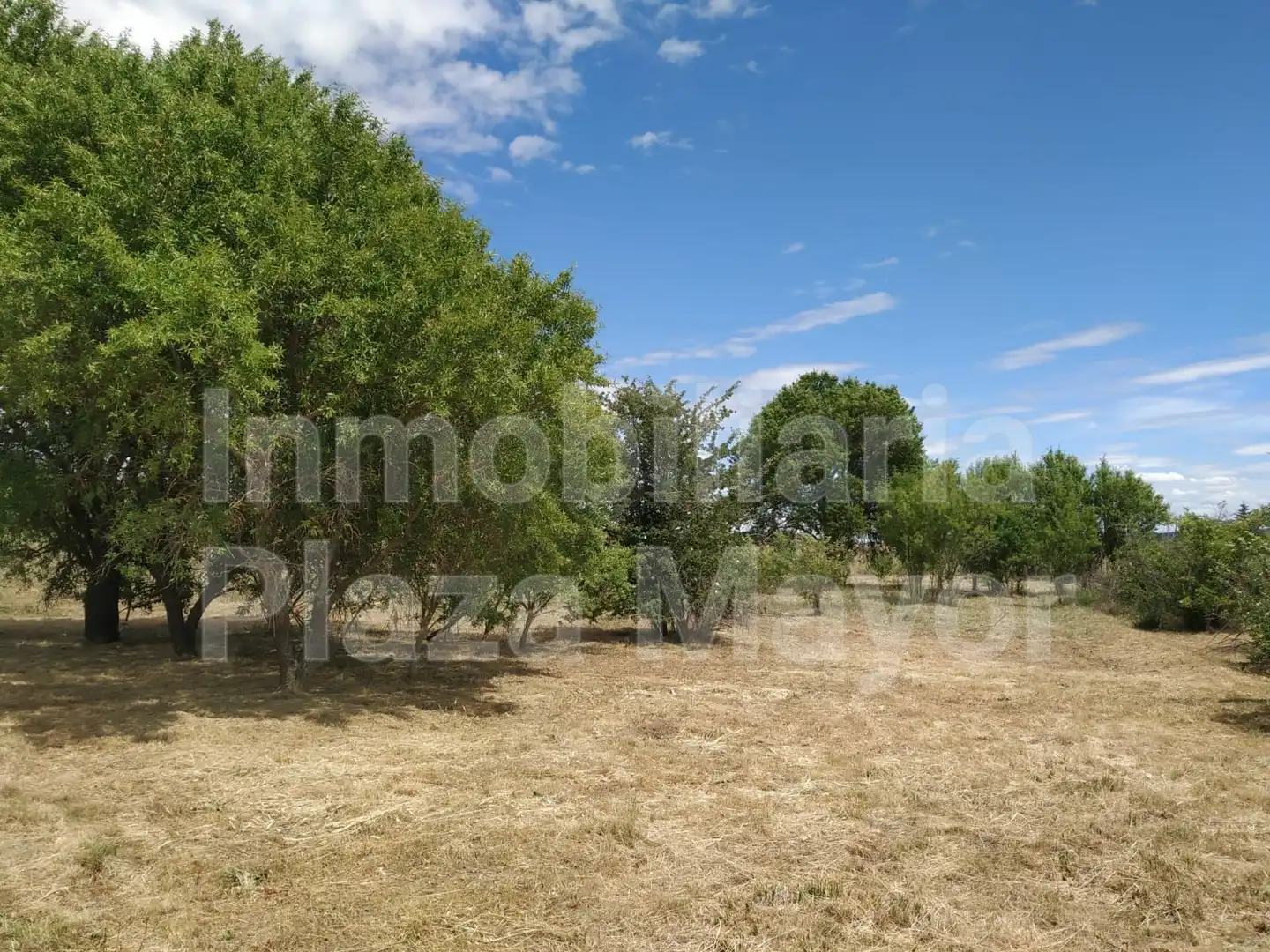 Rustikales Grundstück zum Verkauf in Almenara de Tormes, imagen 3