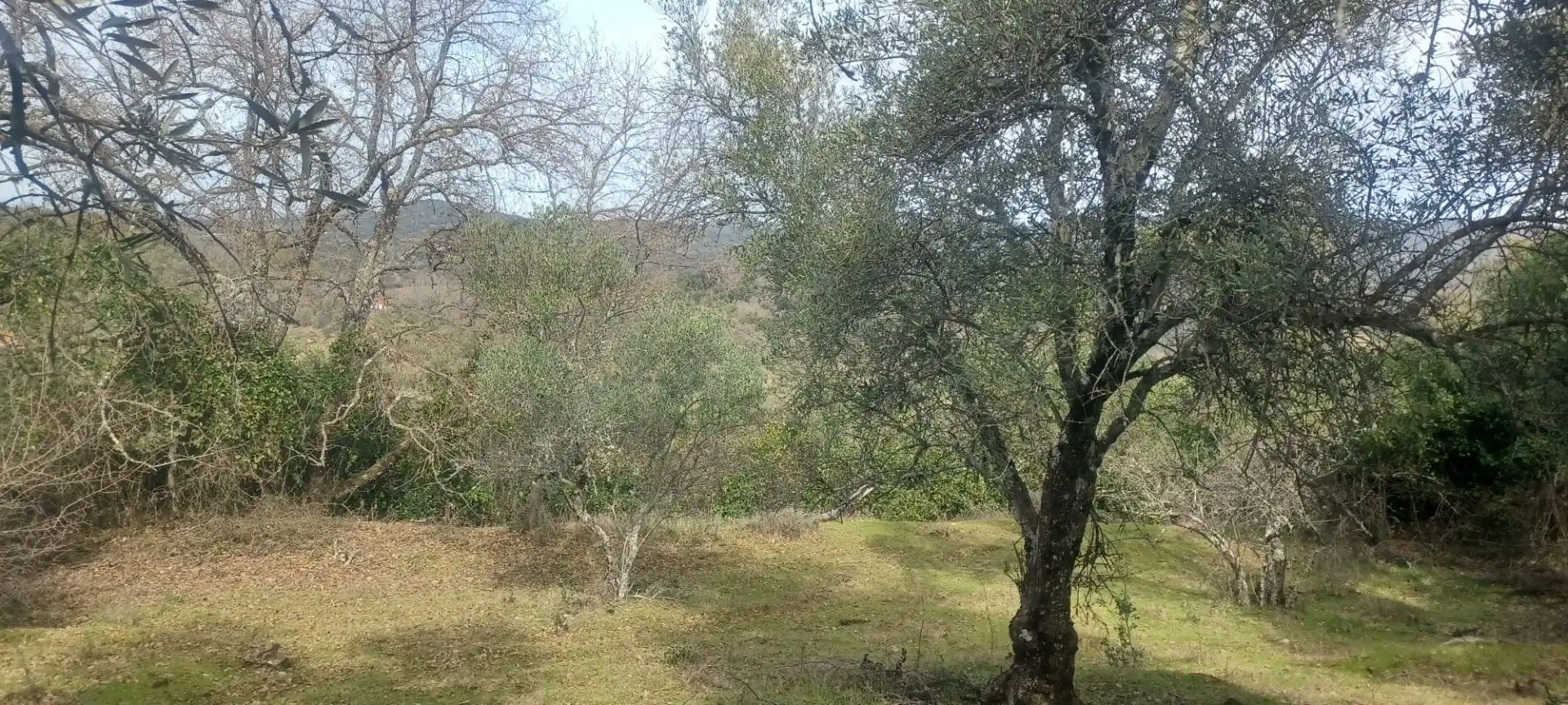 Terreni e lotti in vendita a Constantina, imagen 45