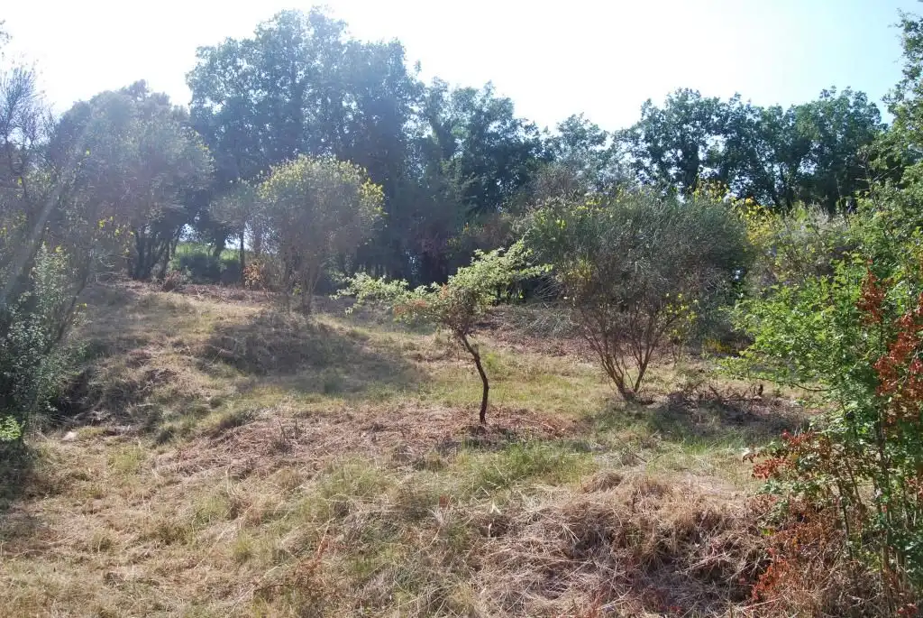 Terreny rústic en venda a Sant Celoni, imagen 3