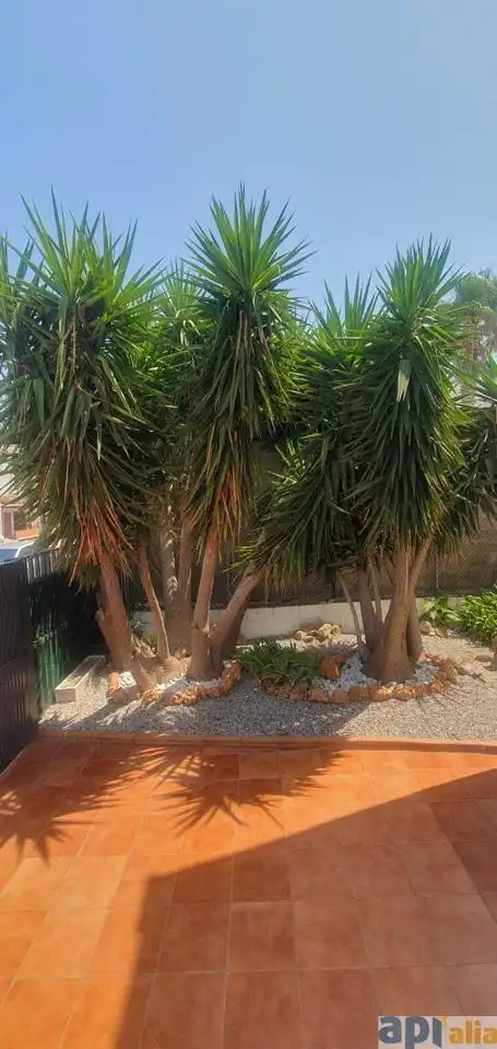 Jardí de Casa o xalet en venda en Roses amb Calefacció, Jardí privat i Terrassa