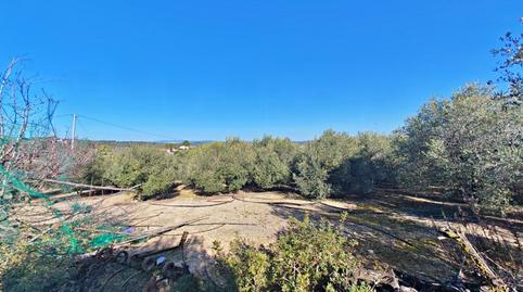 Foto 4 de Casa o xalet en venda a Poligono 20 Paraje 84 el Mas de Pleix, -1, El Catllar , Tarragona