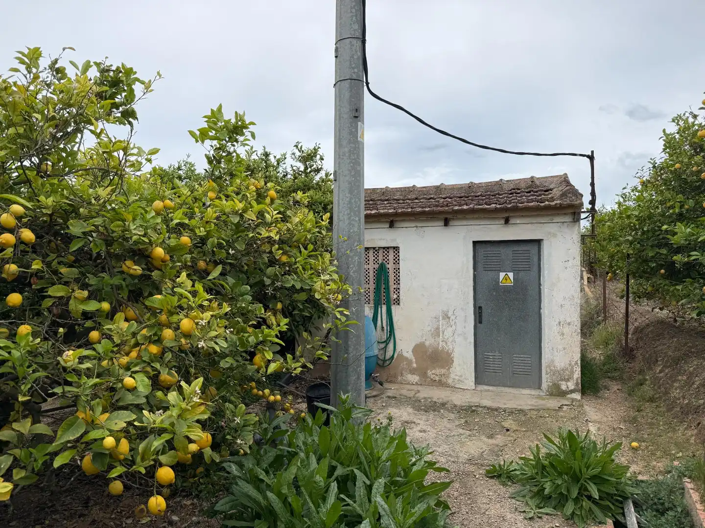 Terreno rústico en venta en Camino San Miguel de Salinas, imagen 4