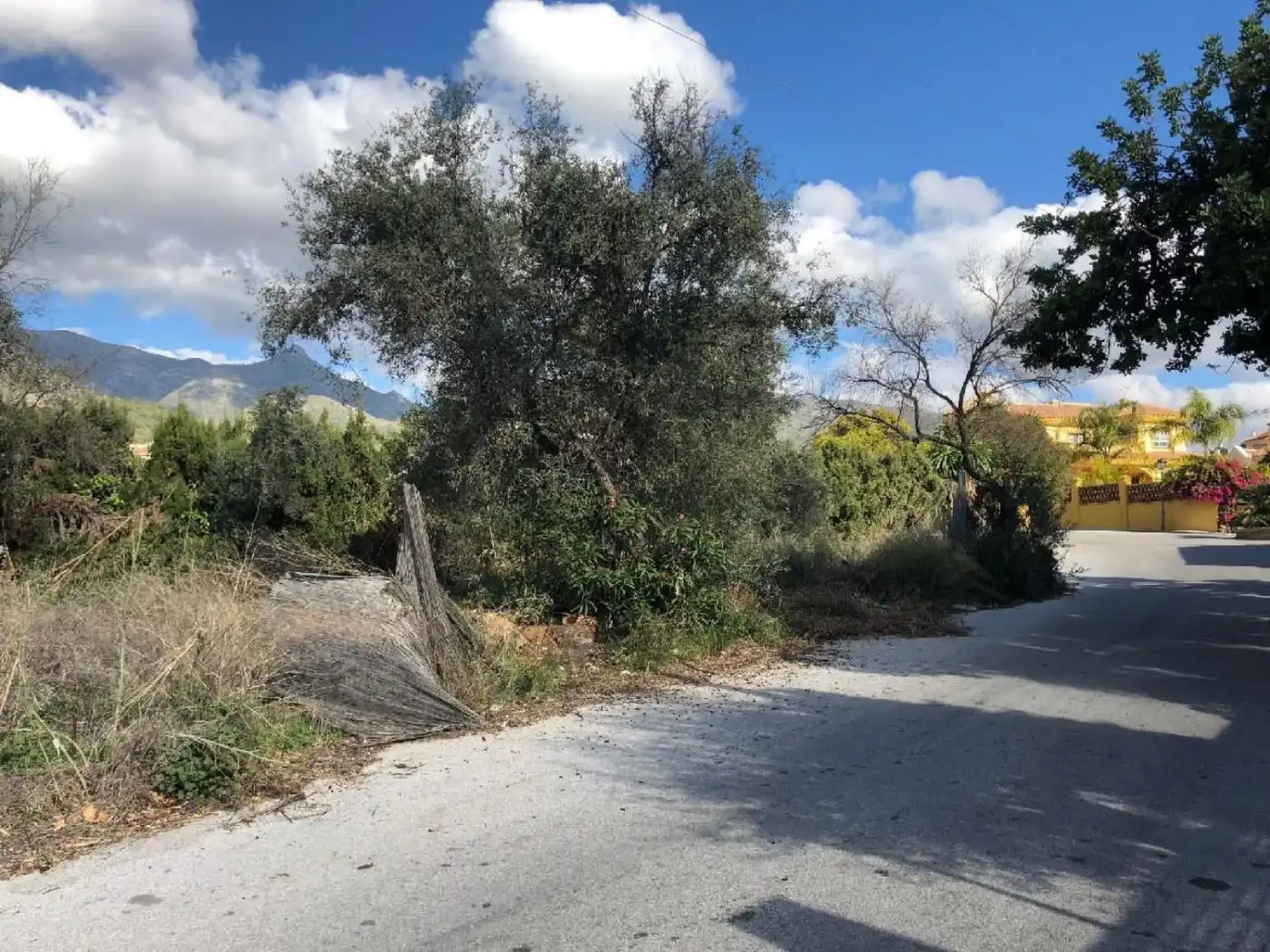 Vista exterior de Terreno en venta en Marbella