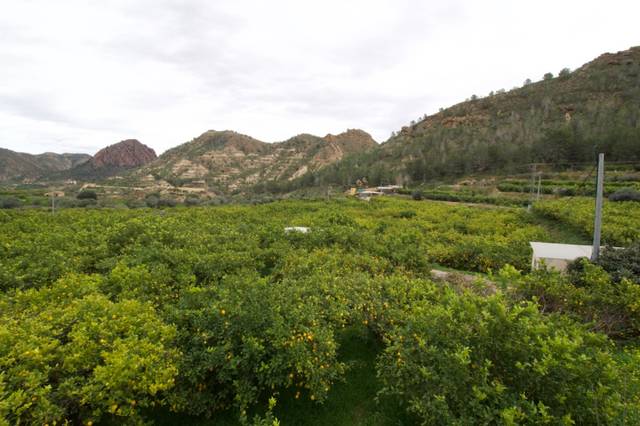 Terreno residencial en Venta en Algezares