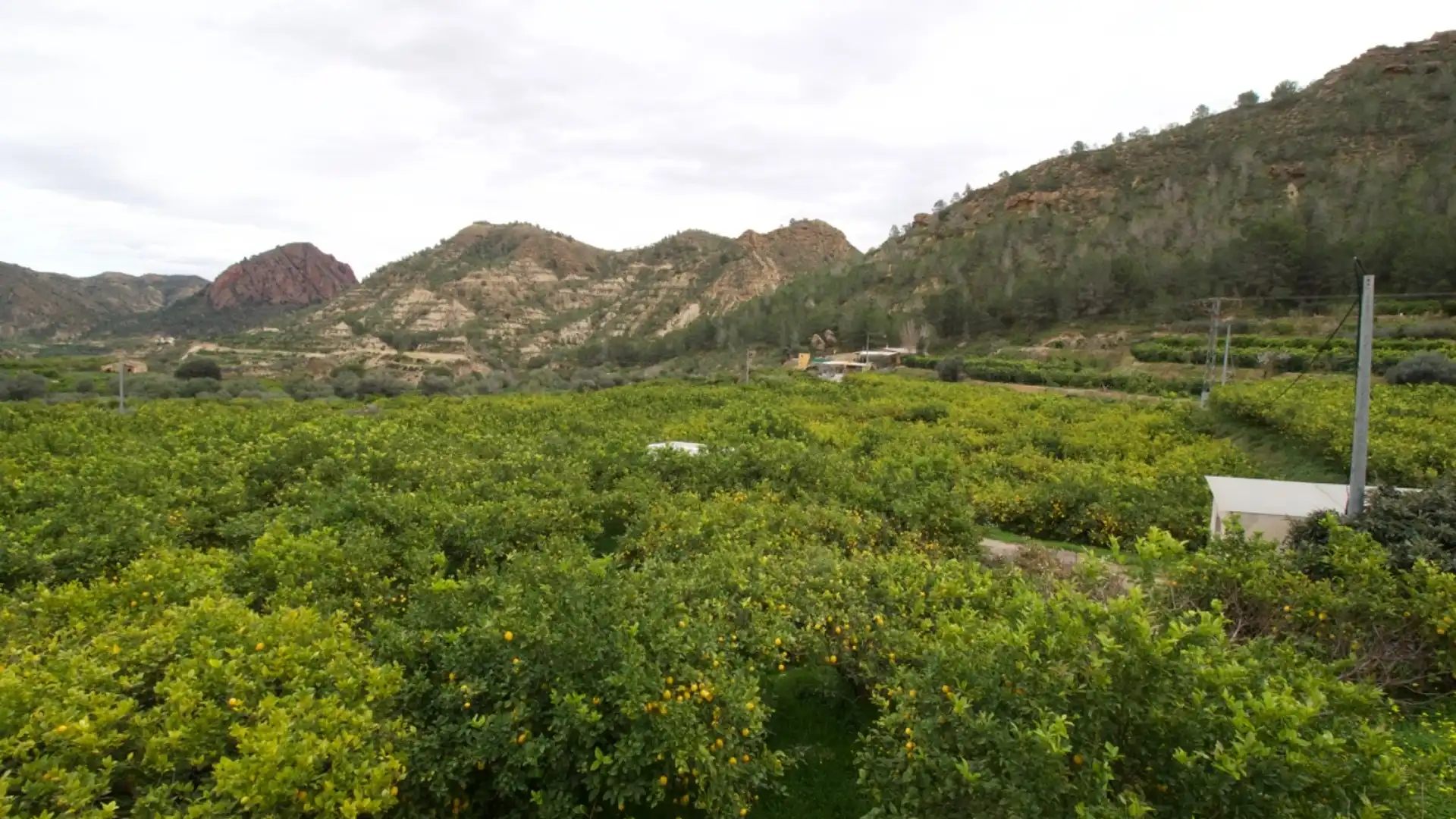 Garden of Residential for sale in  Murcia Capital