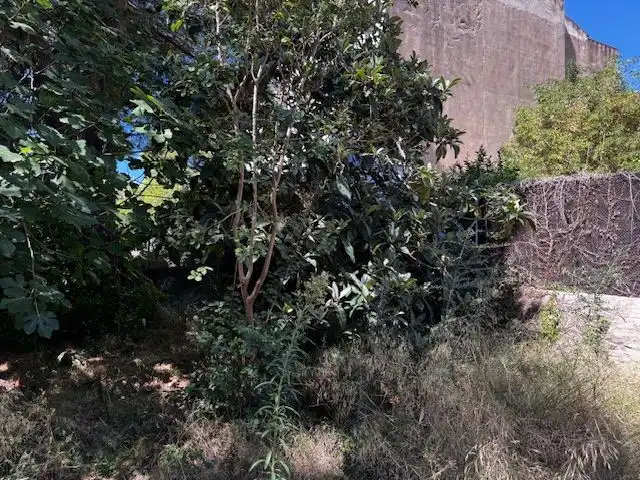 Landhaus mit Garten zum Verkauf in Vila de Palafrugell, imagen 28