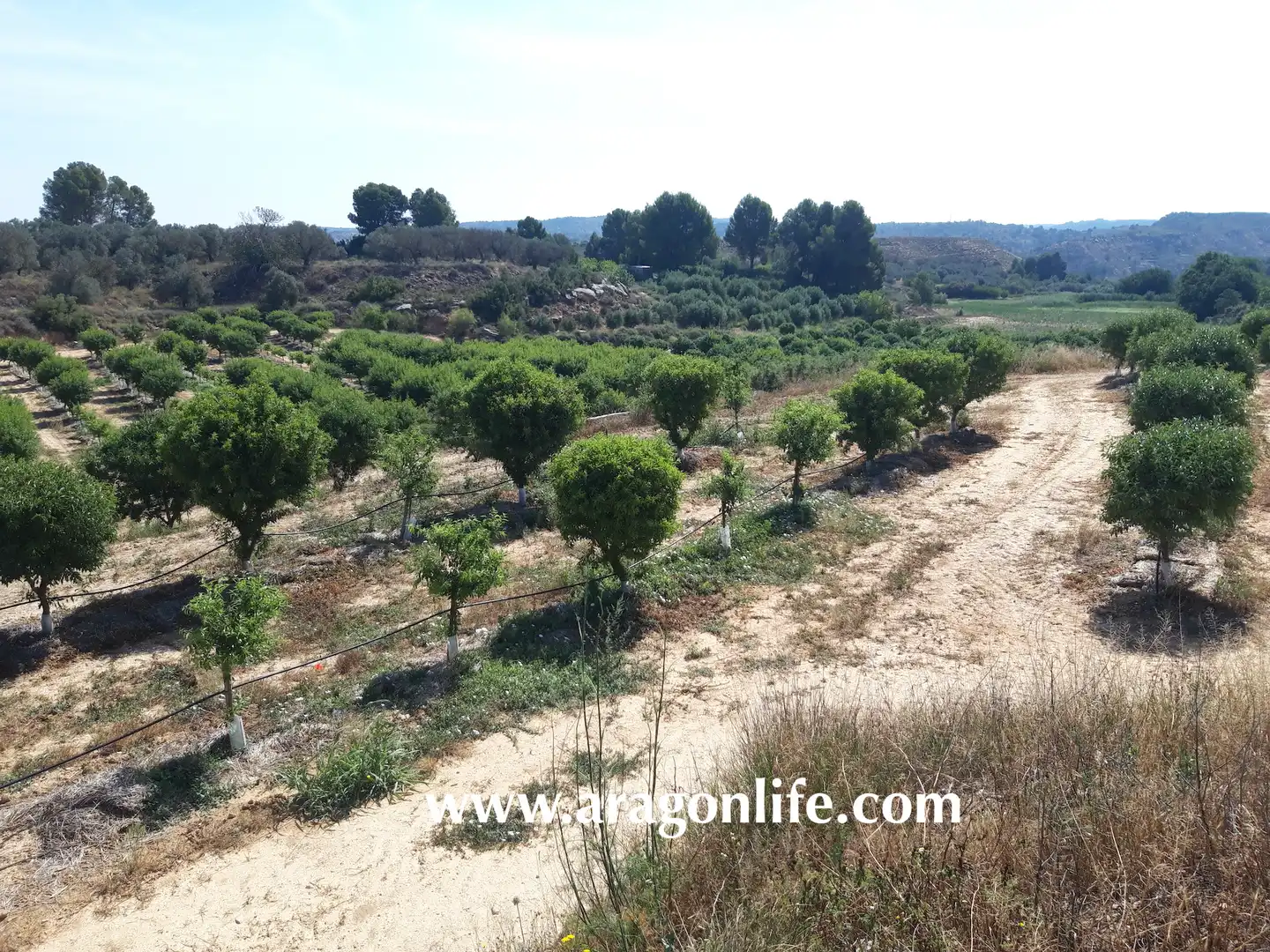 Finca rústica en venta en Caspe con Amueblado