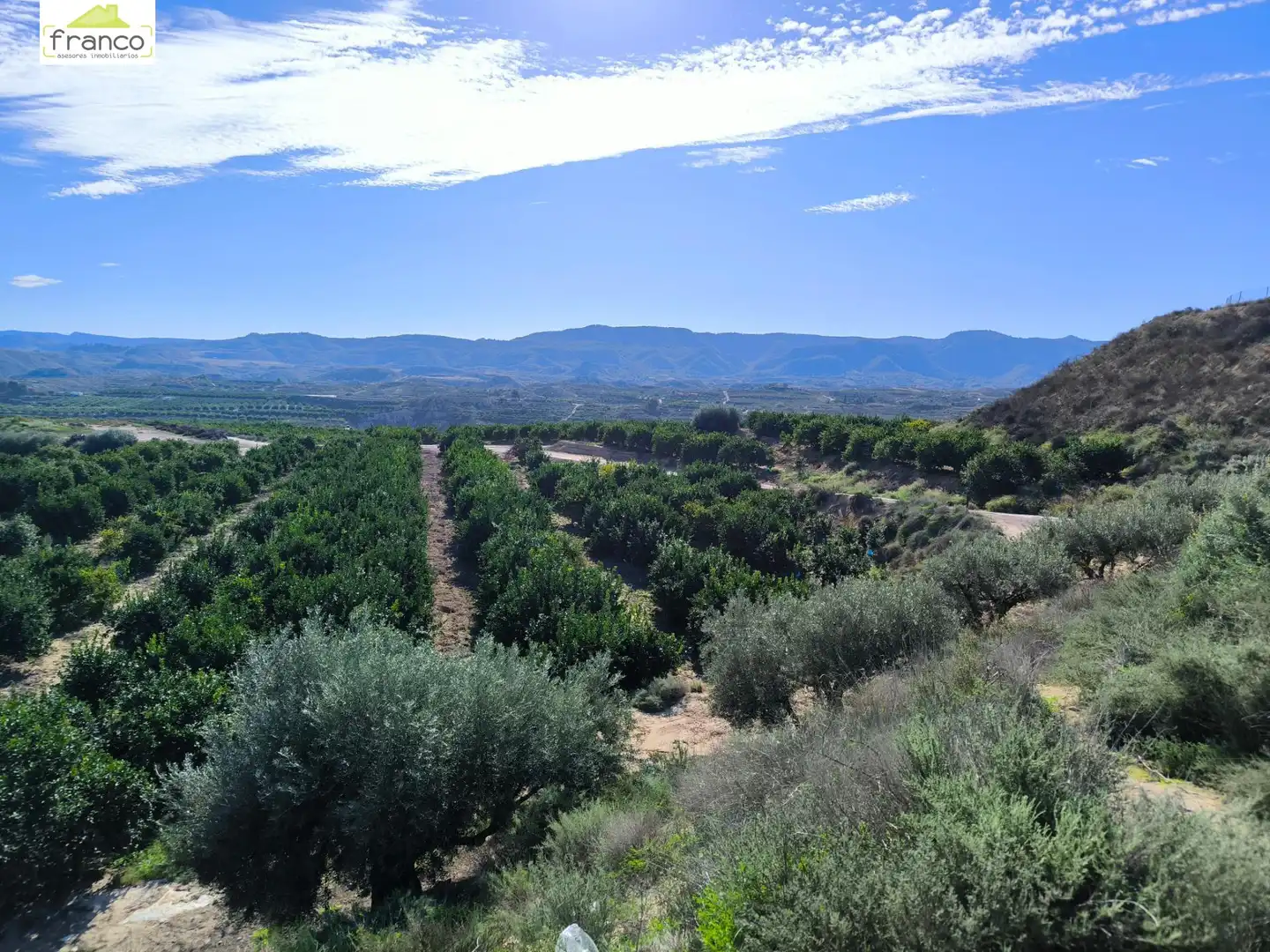 Terreno rustico in vendita a Campo de Murcia, imagen 2