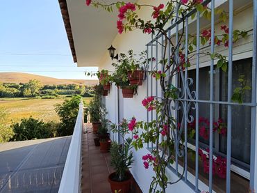 Casa en venta en Arcos de la Frontera