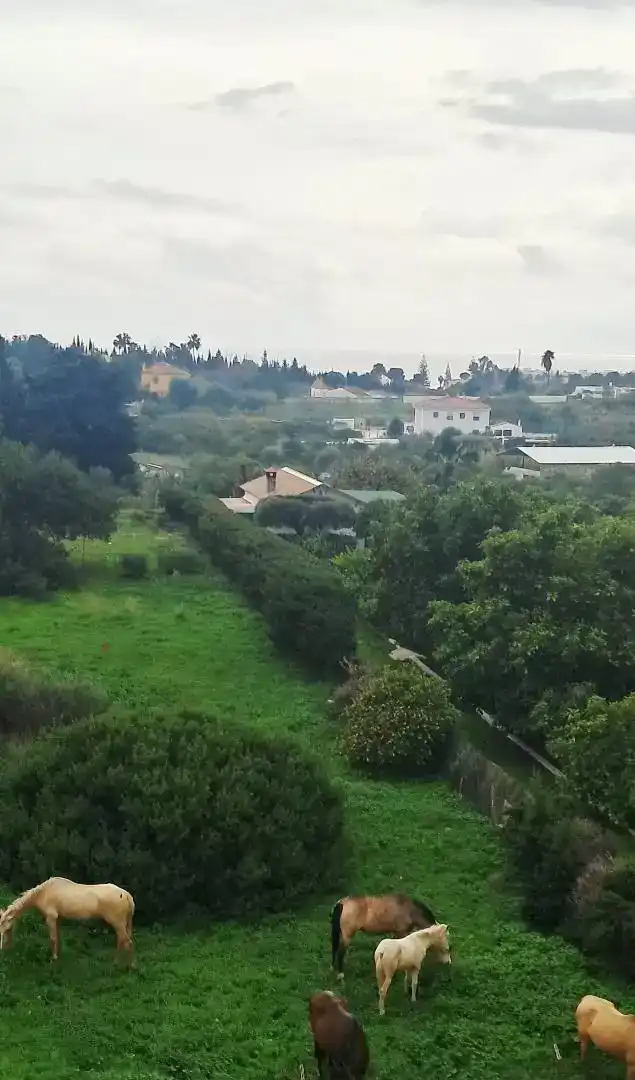 Dúplex en venta en Estepona con Piscina