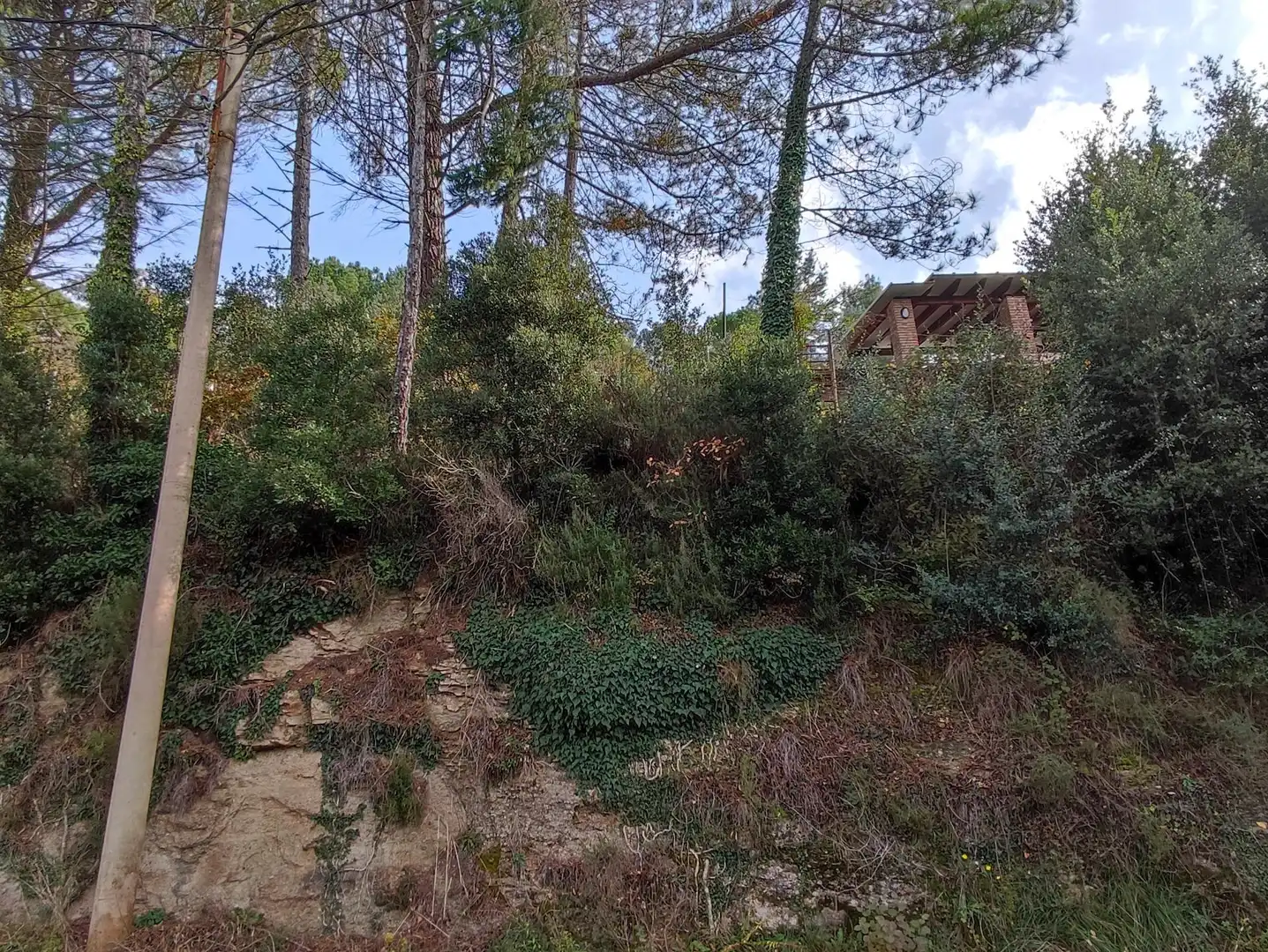 Terrain rustique à vendre à Monistrol de Calders, imagen 2