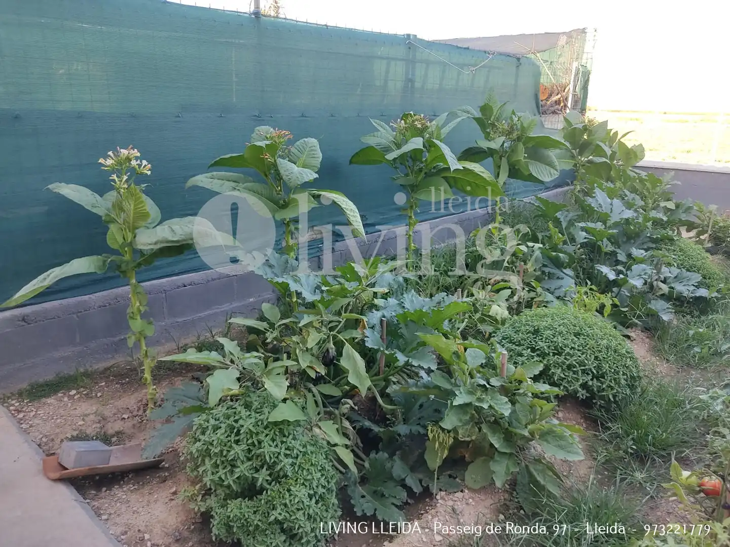 Garden of Houses for sale in Bell-lloc d'Urgell  with Heating, Private garden and Terrace