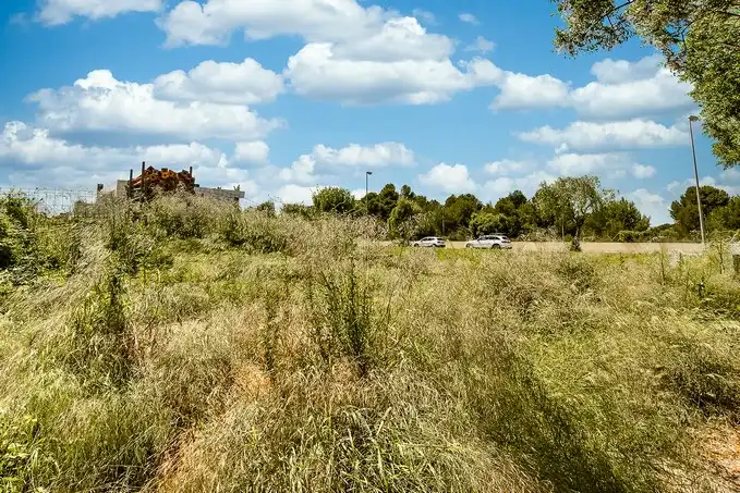Terrain rustique à vendre à C/ Sector S-1. Les Comes, imagen 10