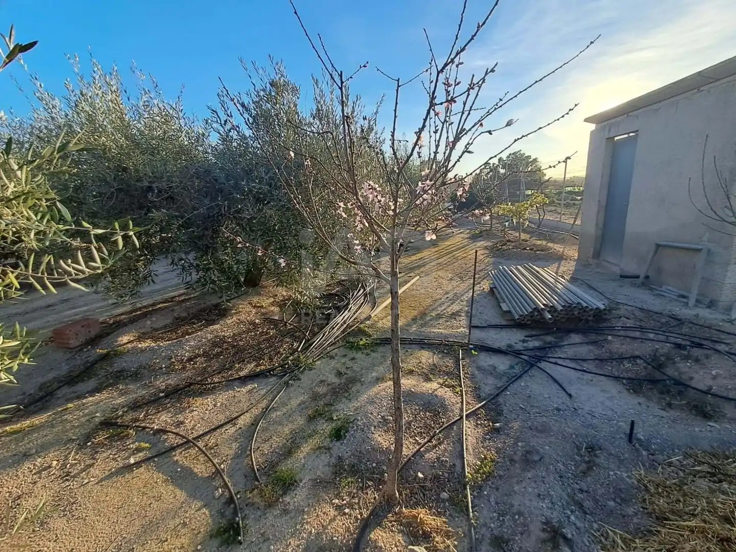 Casa o chalet en venta en Lorca con Terraza