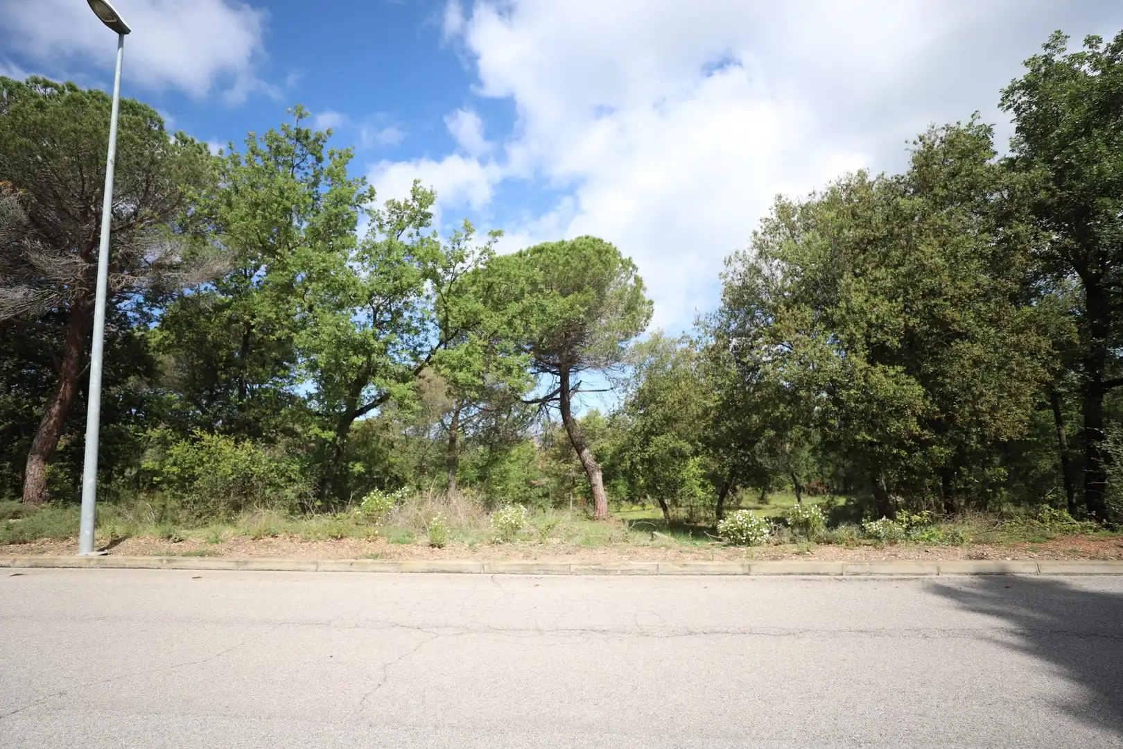 Lands and plots for sale in SERRABARDINA, imagen 3