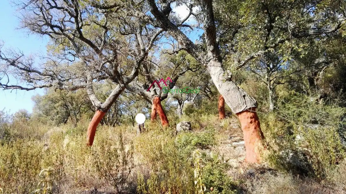 Terreny residencial en venda a Ubrique, imagen 2