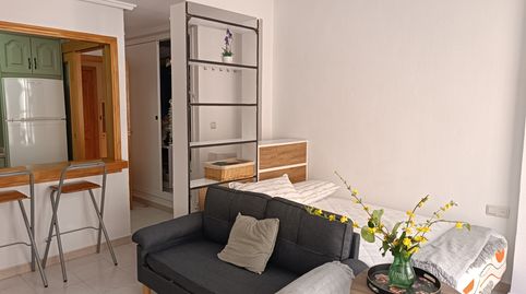 Foto 4 de Estudio de alquiler en Jijona / Xixona, Alicante