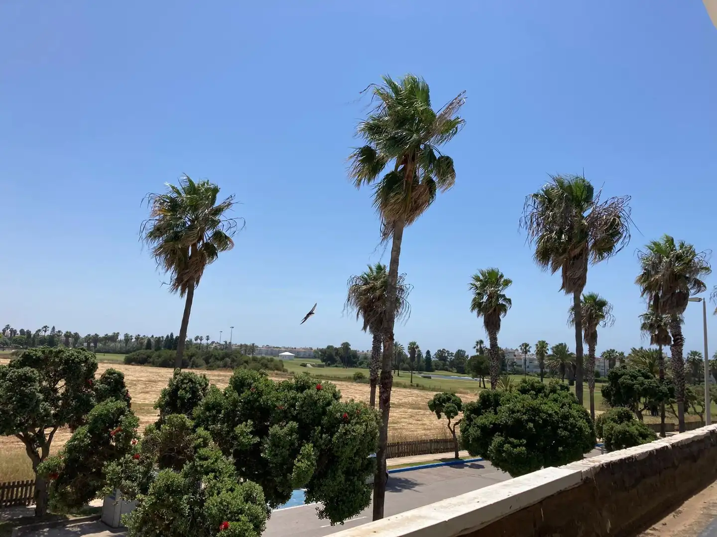 Gewerbefläche zum Verkauf in Costa Ballena Golf, imagen 25