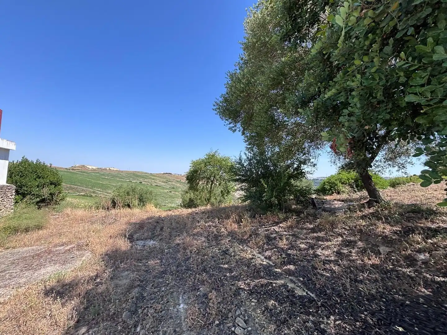 Terreni e lotti in vendita a Arcos de la Frontera, imagen 21
