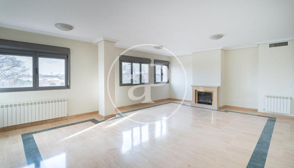 Photo 1 of Flat to rent in C. de Cabellera de Berenice, Valdemarín, Madrid