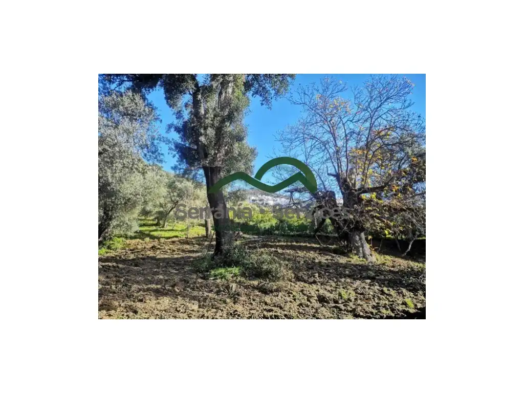 Finca rústica en venda en Genalguacil