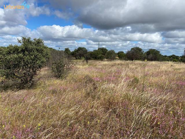 Terreno residencial en Venta en Carretera de Sevilla - Los Montitos