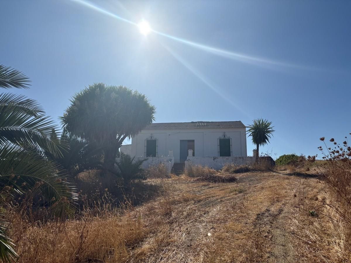 Vista exterior de Casa o chalet en venta en Bollullos Par del Condado