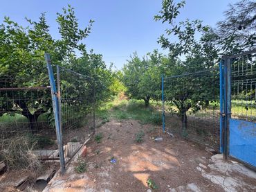 Terreno rustico in vendita a Pedanías Este
