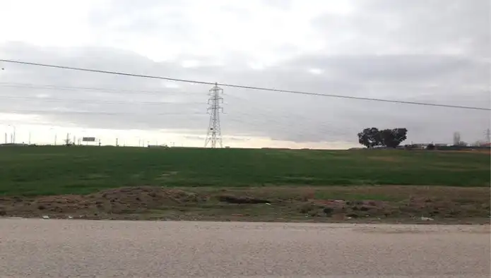 Rural land for sale in C/ Sector S-12, Pol 7, imagen 8