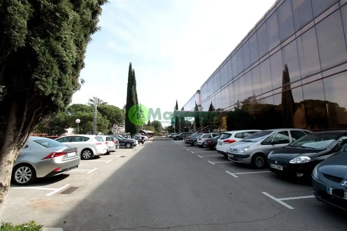 Office for rent in Marazuela - El Torreón