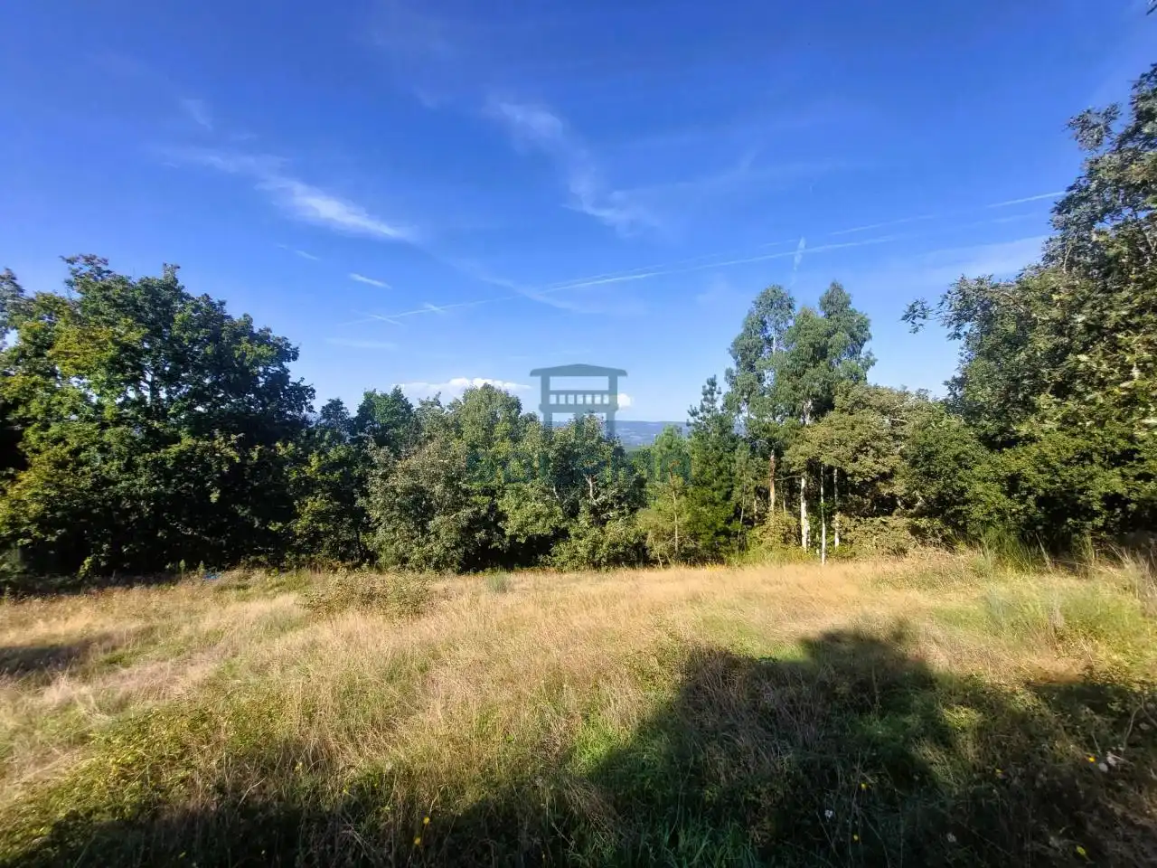 Terreni e lotti in vendita a O Pereiro de Aguiar, imagen 15